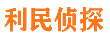 湛河侦探公司